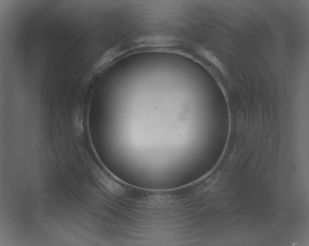 X0000073541451200607311340