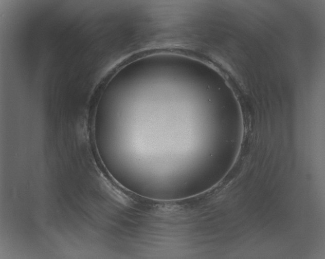 X0000073541452200607311340