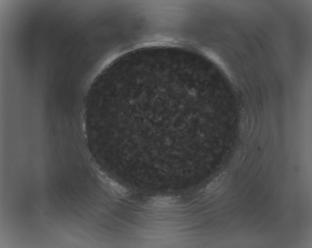 X0000073541455200607311340