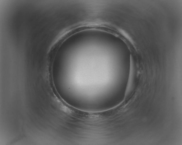X0000073541456200607311340