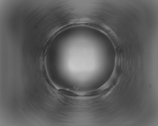 X0000073541457200607311340