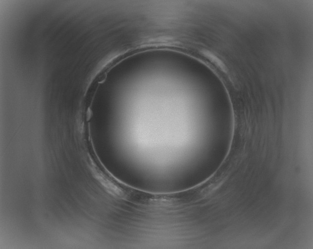 X0000073541458200607311340