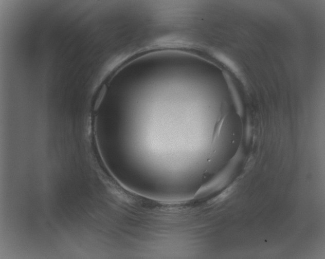 X0000073541461200607311340