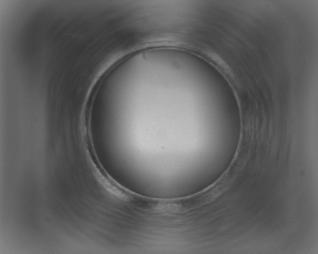 X0000073541466200607311340