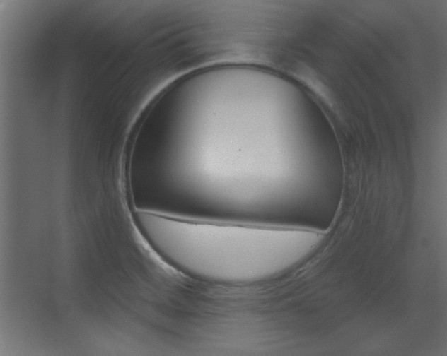 X0000073541468200607311340
