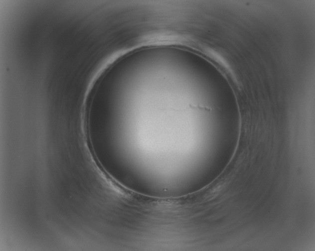 X0000073541472200607311340