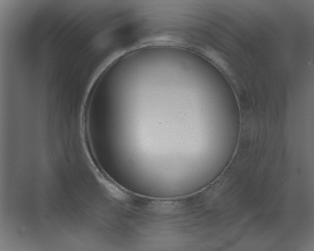 X0000073541474200607311340