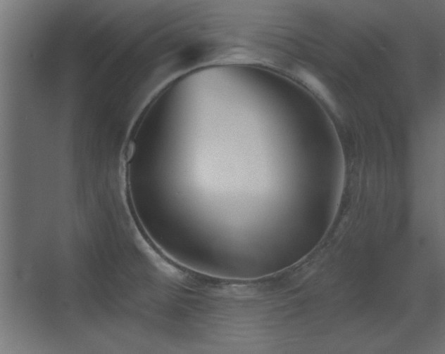 X0000073541476200607311339