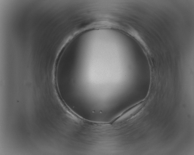 X0000073541477200607311339