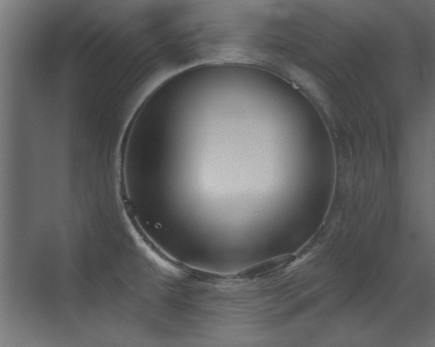 X0000073541479200607311339