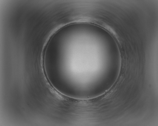 X0000073541480200607311339