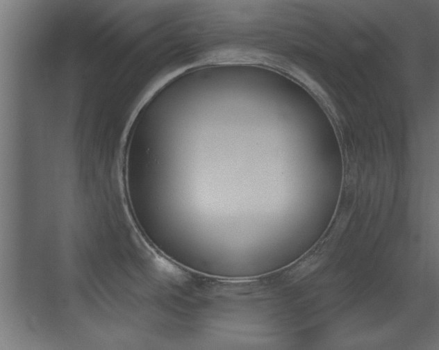 X0000073541486200607311339