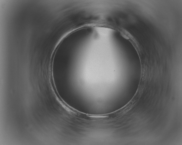 X0000073541487200607311339