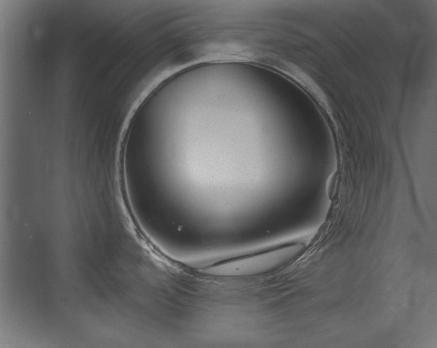 X0000073541488200607311339