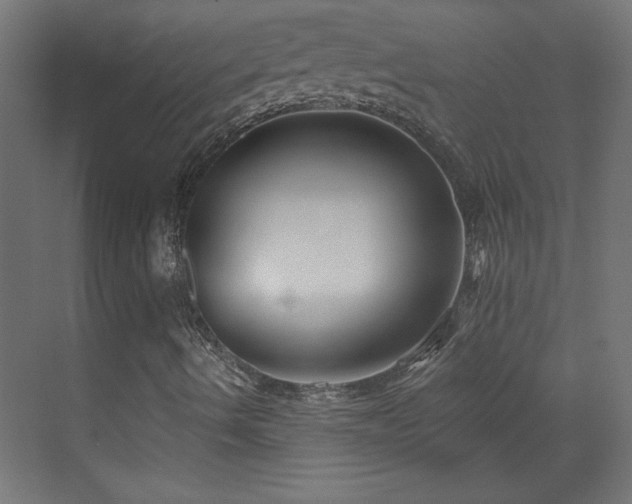 X0000073541490200607311339