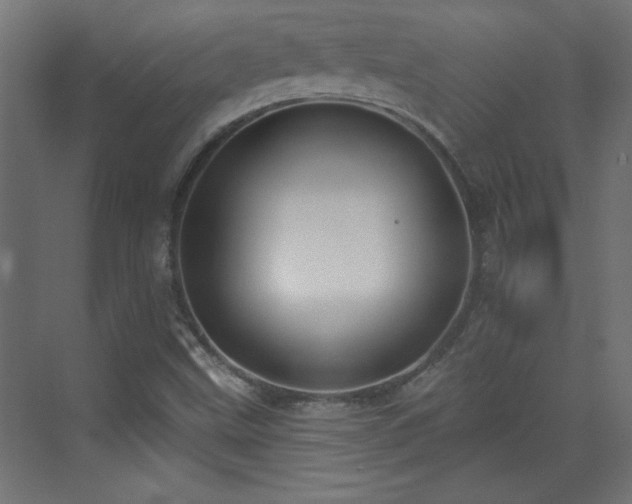 X0000073541499200607311339