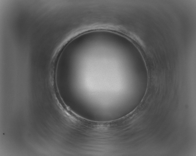 X0000073541504200607311339