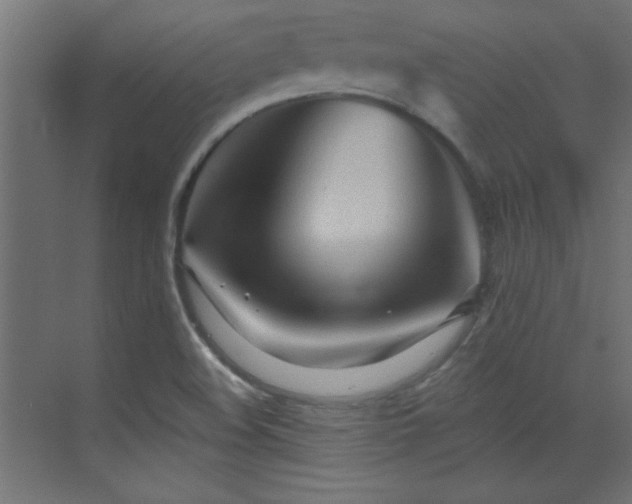 X0000073541508200607311339