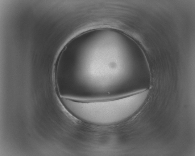 X0000073541516200607311339
