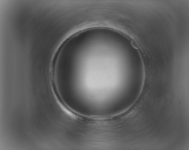 X0000073541519200607311339