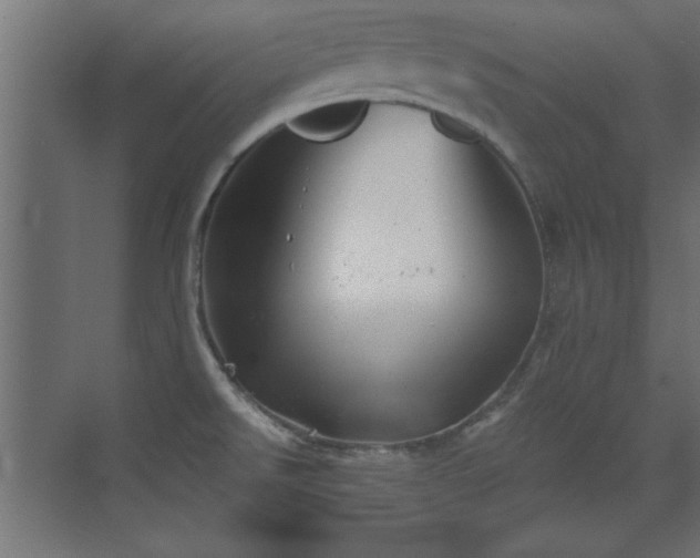 X0000073541526200607311339