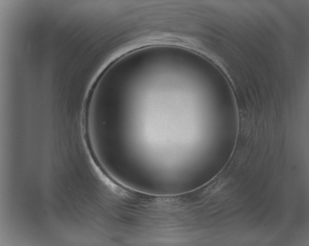 X0000073541531200607311339