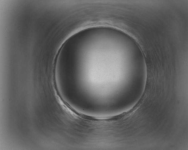 X0000073541534200607311339
