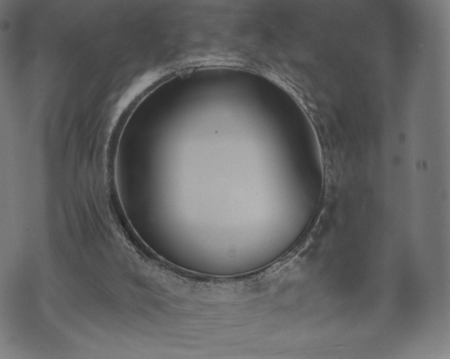 X0000073540008200608071107