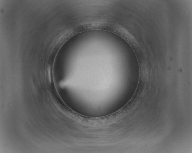 X0000073540022200608071107