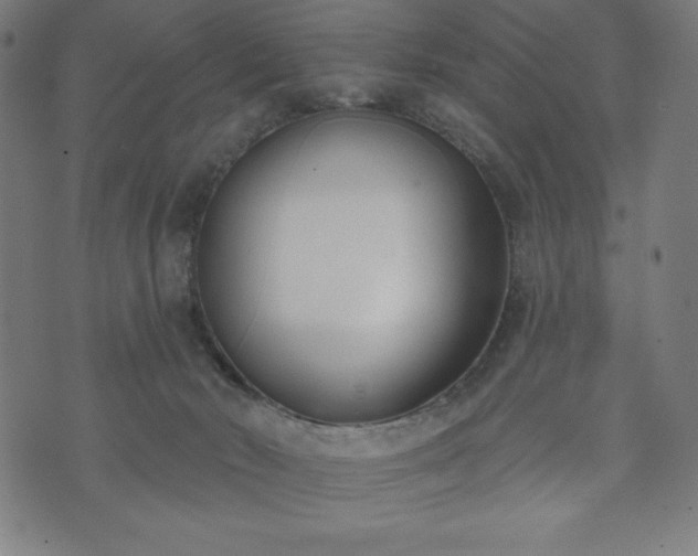 X0000073540030200608071107