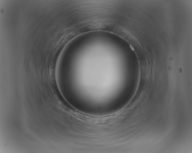 X0000073540035200608071106
