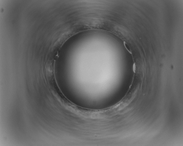 X0000073540040200608071106
