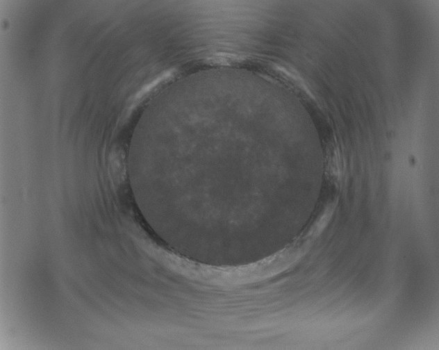X0000073540043200608071106