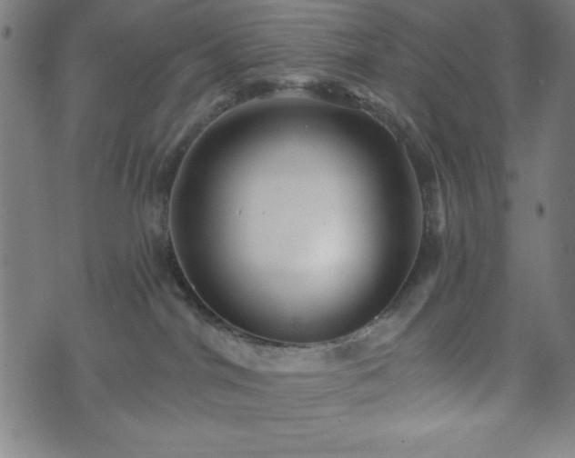 X0000073540044200608071106