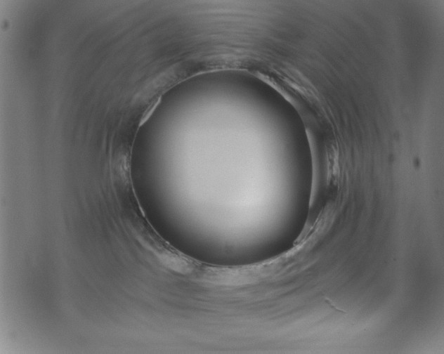 X0000073540045200608071106