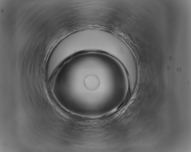 X0000073540049200608071105