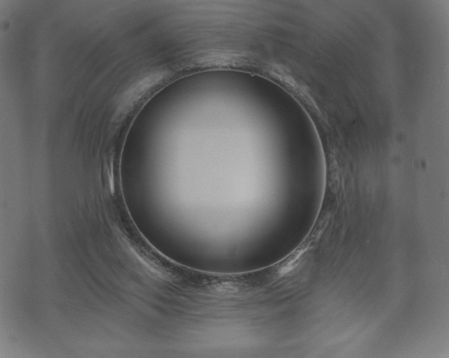 X0000073540062200608071106