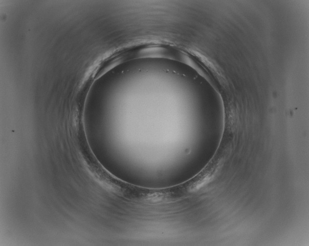 X0000073540064200608071106