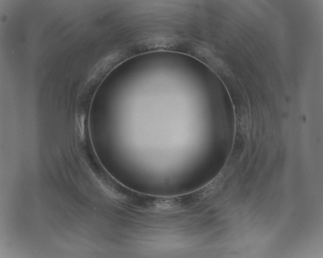 X0000073540070200608071106