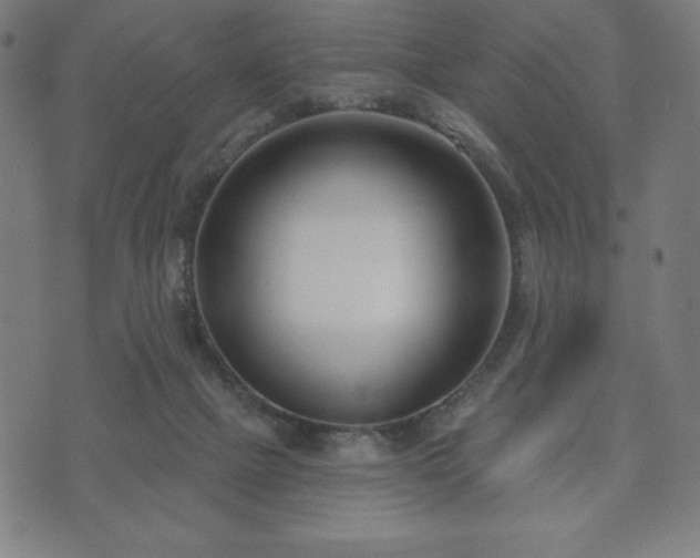 X0000073540073200608071106