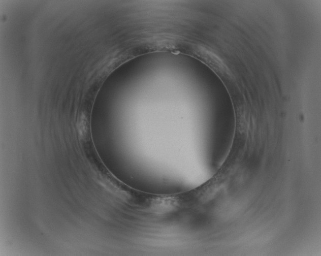 X0000073540077200608071106