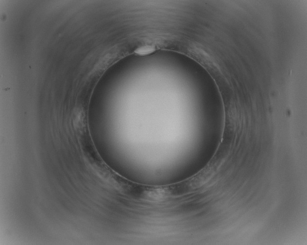 X0000073540079200608071106