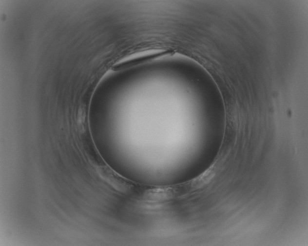 X0000073540082200608071106