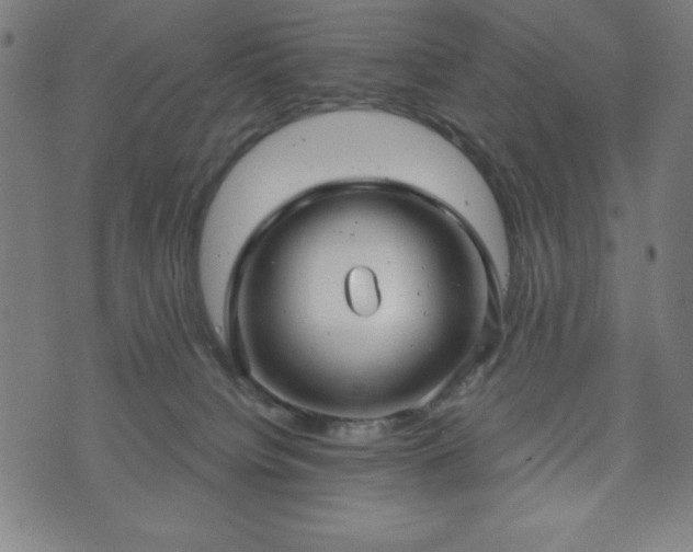 X0000073540084200608071106