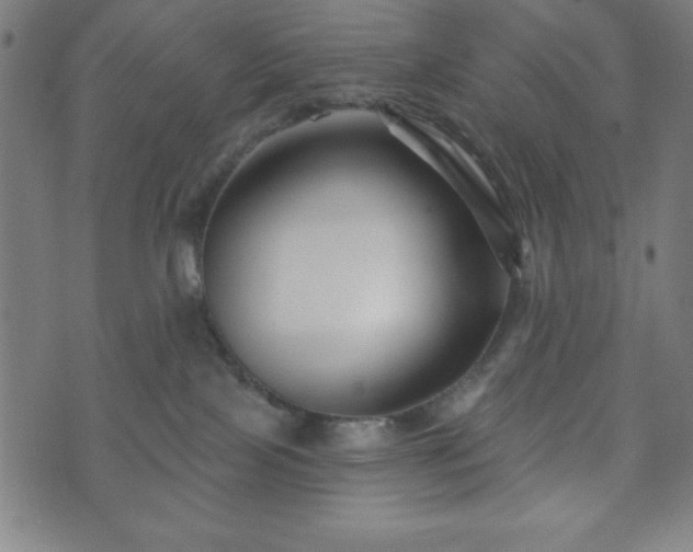 X0000073540089200608071106