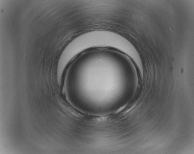 X0000073540092200608071106