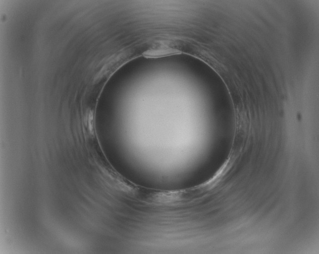 X0000073540094200608071106