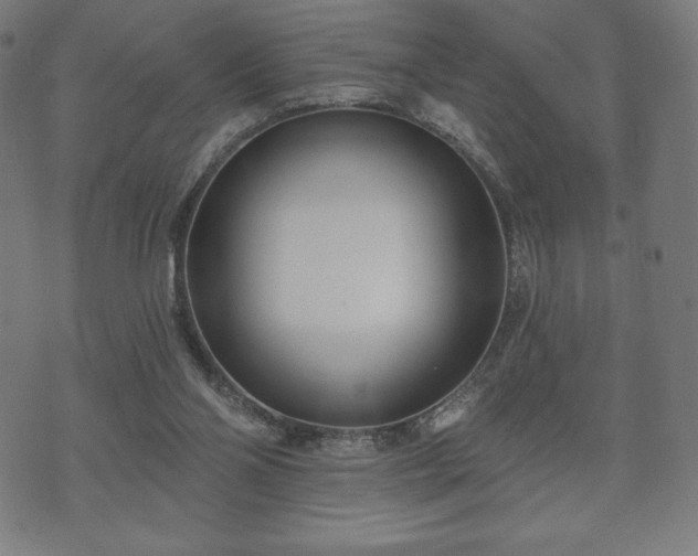 X0000073540110200608071105