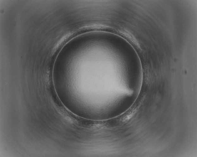 X0000073540111200608071105