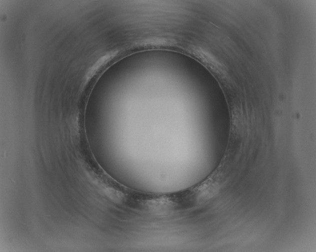 X0000073540112200608071105